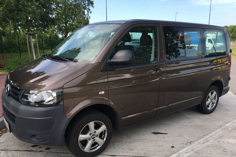 Brasov: Brown Bear & Wildlife Watching