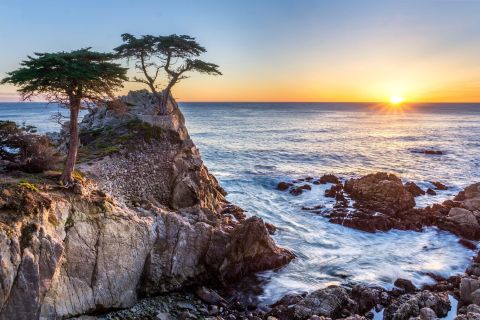 Ab San Francisco: Monterey und Carmel Tagestour