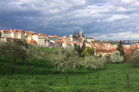 Prague: visite à pied d'une demi-journée des principaux attraits de la villeTour pivot en allemand