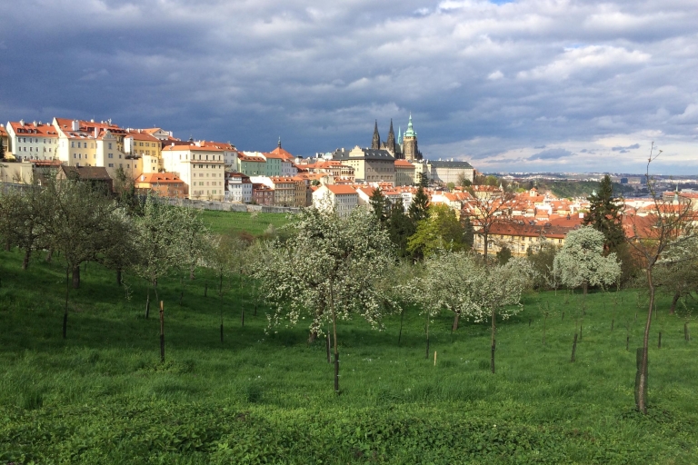 Prag: Halbtägiger Highlight-Rundgang durch die StadtPrag: Halbtägiger privater Highlight-Rundgang auf Deutsch