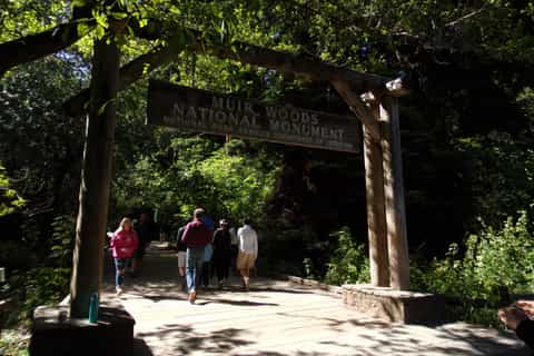 San Francisco: Muir Woods, Giant Redwoods & Sausalito Tour
