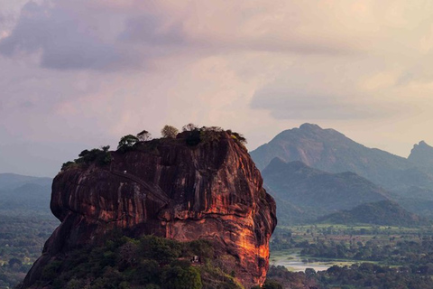 De Colombo: visite privée d'une journée à Sigiriya et DambullaVisite privée d'une journée