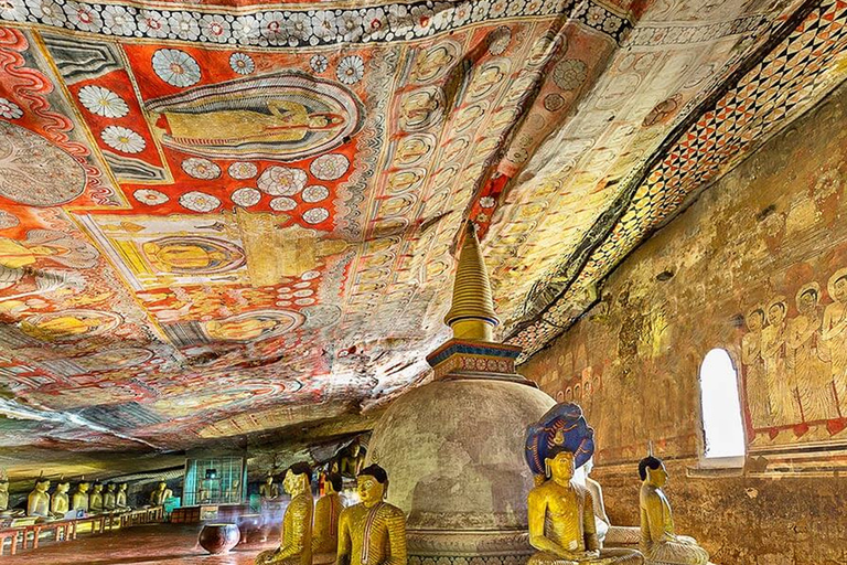 De Colombo: visite privée d'une journée à Sigiriya et DambullaVisite privée d'une journée