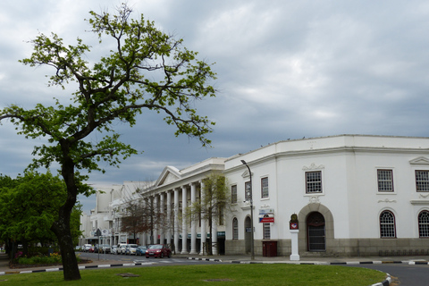 Stellenbosch : Visite guidée à pied historiqueStellenbosch : Visite guidée historique à pied