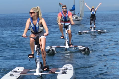 Cape Town: Water Biking Tour