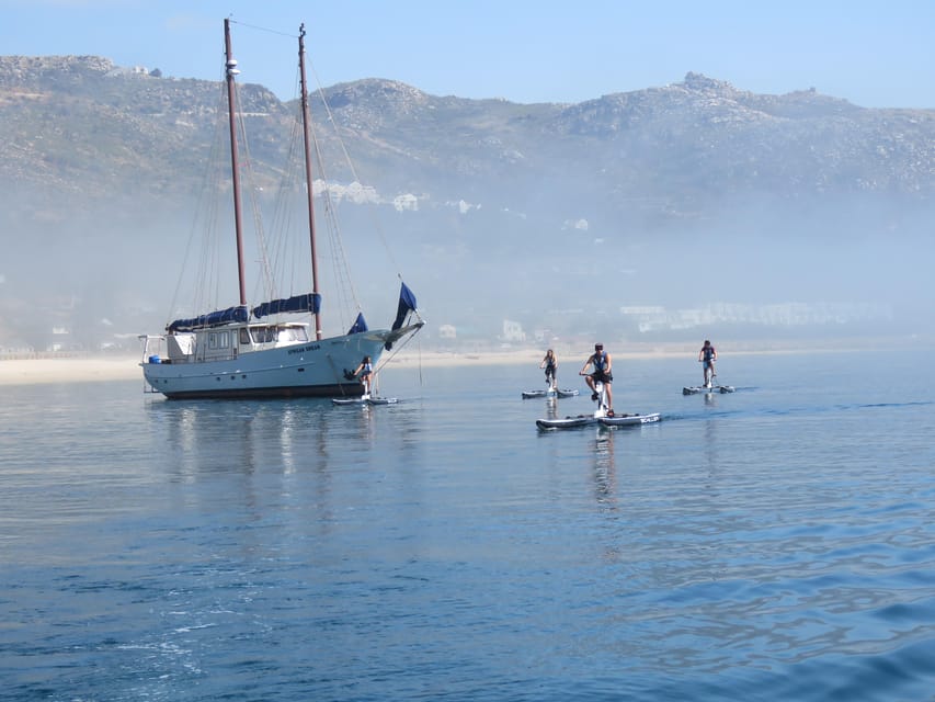 Cape Town Water Biking Tour GetYourGuide