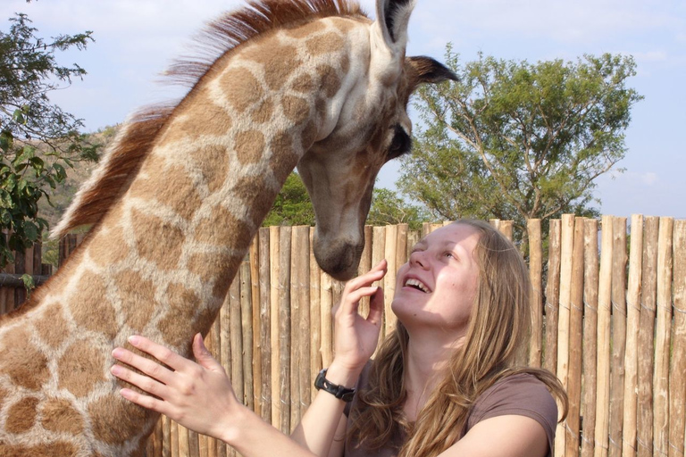 Nairobi: visite du Elephant Orphanage Trust et du Giraffe Center