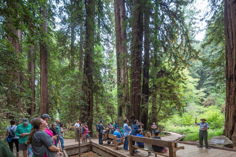 Stadsrondleiding San Francisco + Muir Woods en SausalitoSan Francisco Grand City Tour + Muir Woods en Sausalito