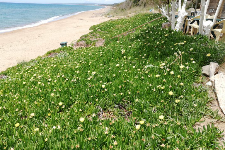 Oud-Griekse trainingstour met insluitselsScheid naar het strand,