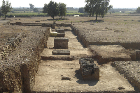 Katakolo: Excursion sur le site archéologique Olympia