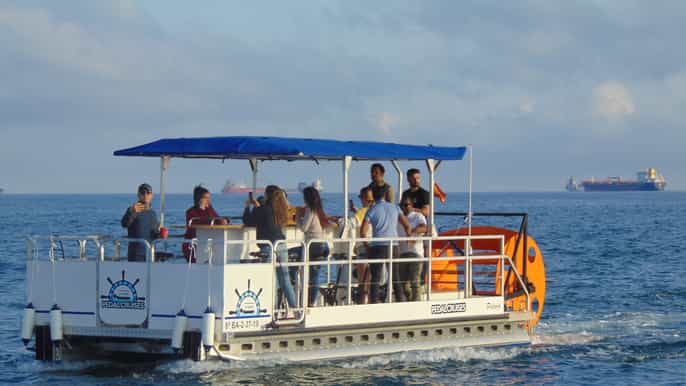 barcelona 1.5hour private scenic pedal boat tour