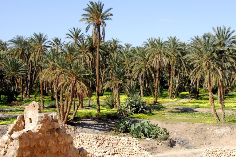 From Djerba: 2-Day Tour of Tozeur and Mountain Oasis