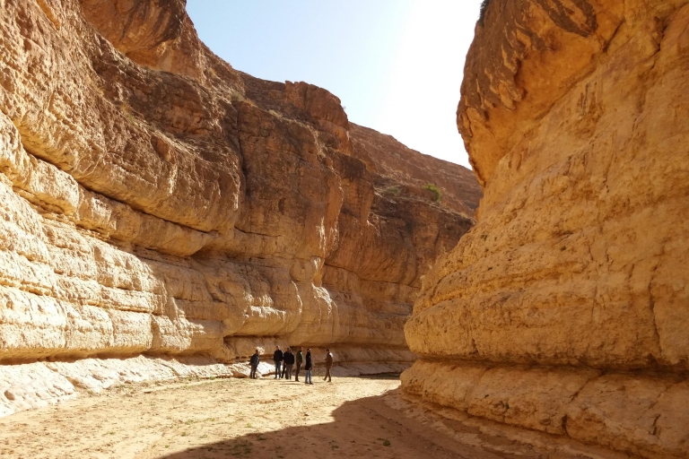 Depuis Djerba : 2 jours à Tozeur et à l'oasis de montagne