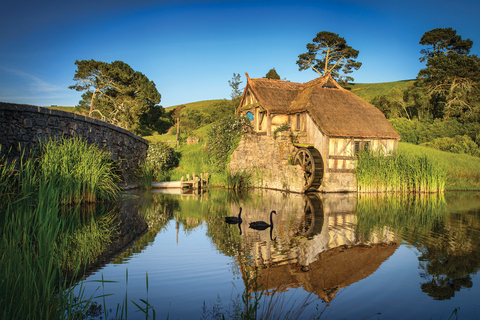 Auckland: Hobbiton filmsettour met lunch