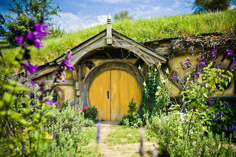 Depuis Auckland : visite de Hobbitebourg avec déjeuner