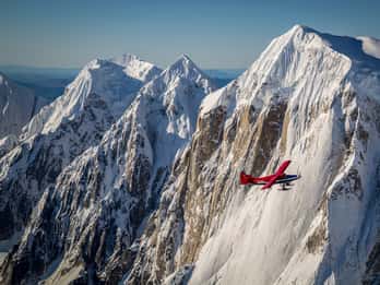 Talkeetna: Denali-Flug mit optionaler Gletscherlandung Talkeetna: Denali-Flug mit optionaler Gletscherlandung