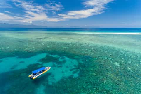 Cape Tribulation Ocean Safari Tour