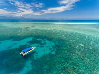 Cape Tribulation: Ozean-Safari-Tour Cape Tribulation: Ozean-Safari-Tour