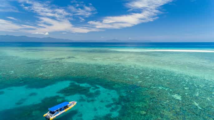 cape tribulation ocean safari tour