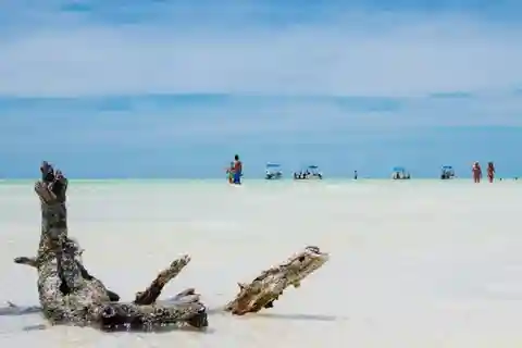 The Best of Holbox