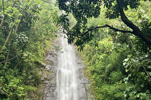 Vandring till vattenfall på Hawaii