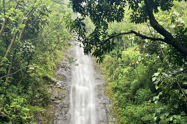 Hawaiian Waterfall Hike