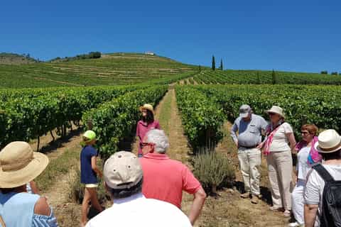 Vale do Douro: Degustação de Vinhos, Almoço e Cruzeiro