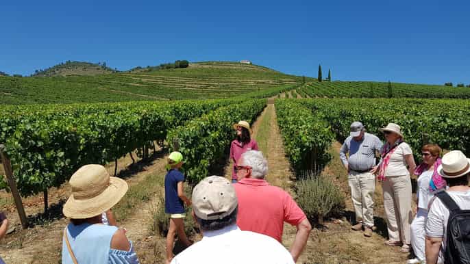 douro valley fullday wine tour with lunch and tastings
