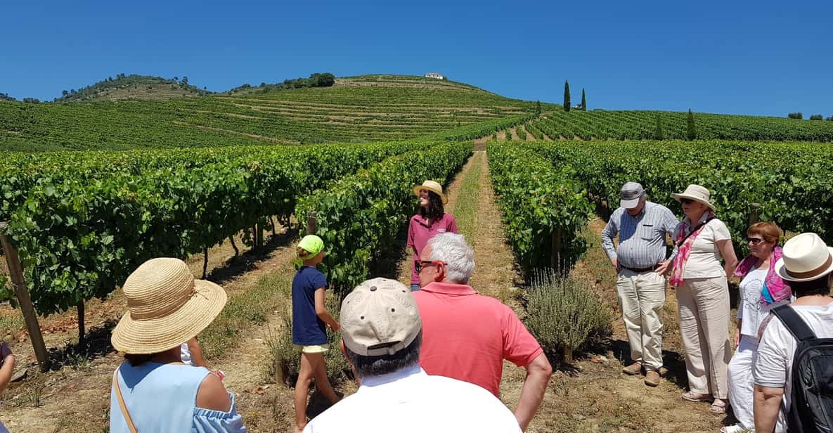 Douro Valley: Wine Tour with Lunch, Tastings & River Cruise
