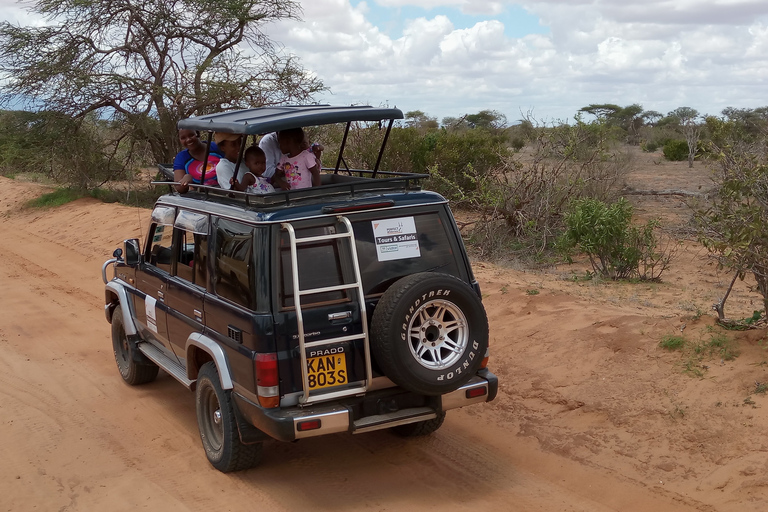 Nairobi: visite du parc national privé et expérience CarnivoreVisite privée du matin et déjeuner