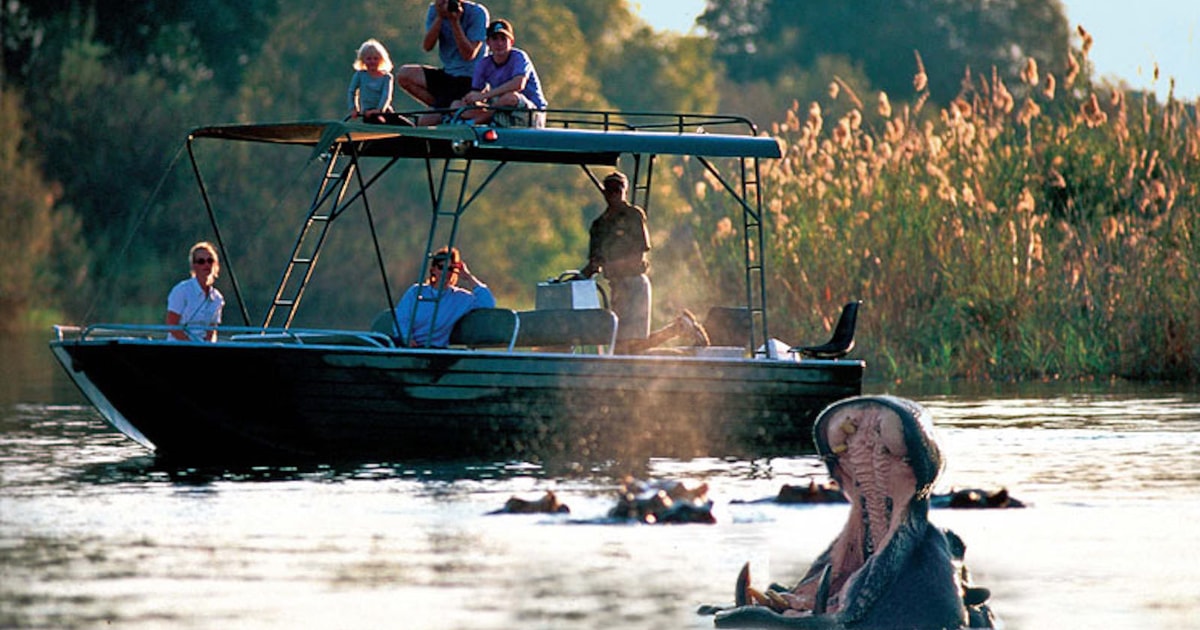 From Livingstone: Victoria Falls River Safari