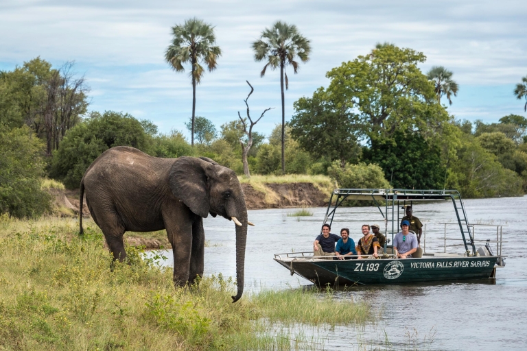 Depuis Livingstone : safari en bateau aux chutes VictoriaChutes Victoria : safari sur la rivière l'après-midi