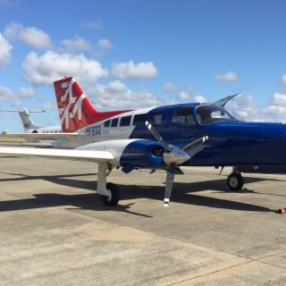 Von Punta Cana aus: Samana Tagestour mit dem Flugzeug