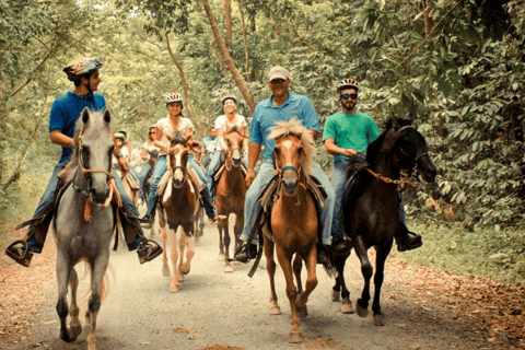 Samana: Day Tour from Punta Cana by Airplane