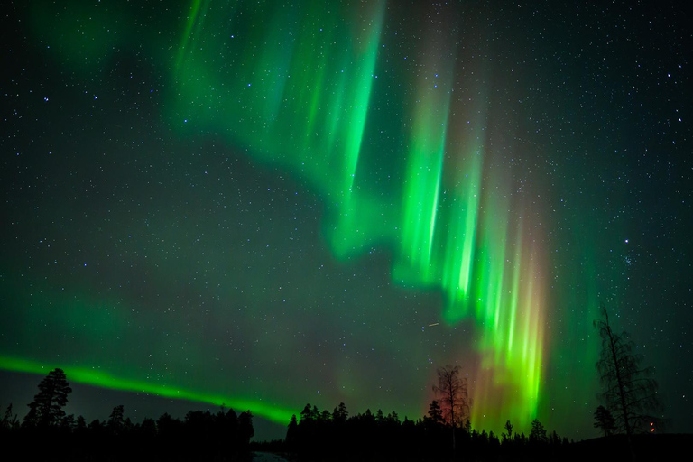 Rovaniemi: Aurora Hunting with 100% Refund. Small Group. Rovaniemi: Aurora Treasure Expedition & Refund (Standard)