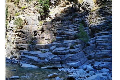 Desde Georgioupolis: traslado de ida y vuelta a Samaria GorgeTraslado de ida y vuelta a Samaria Gorge con guía de senderismo