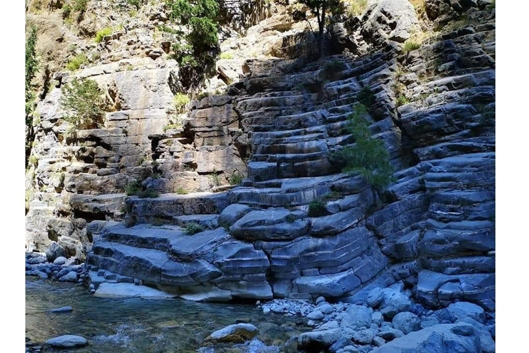 Depuis Georgioupolis : transfert vers les gorges de SamariaTransfert vers les gorges de Samaria avec guide de randonnée