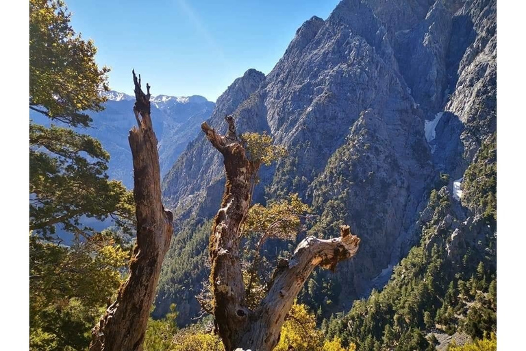 Desde Georgioupolis: traslado de ida y vuelta a Samaria GorgeTraslado de ida y vuelta a Samaria Gorge con guía de senderismo