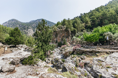 Au départ de Rethymno : Randonnée d'une journée dans les gorges de Samaria avec ramassage.de Gerani, Petres, Dramia, Kavros, Georgioupolis