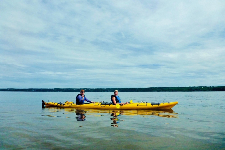 Quebec City: Wycieczka kajakiem morskimSpływ kajakowy z transportem