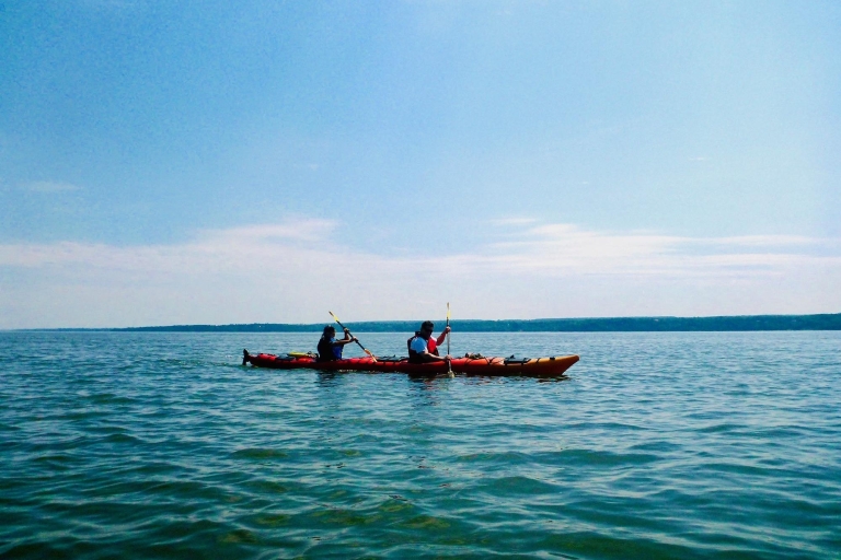 Quebec City: Sea-Kayaking Excursion Kayaking with Transportation