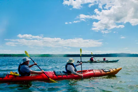Québec : Excursion en kayak de mer à l'île d'Orléans