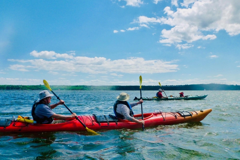 Quebec City: Sea-Kayaking Excursion Kayaking with Transportation