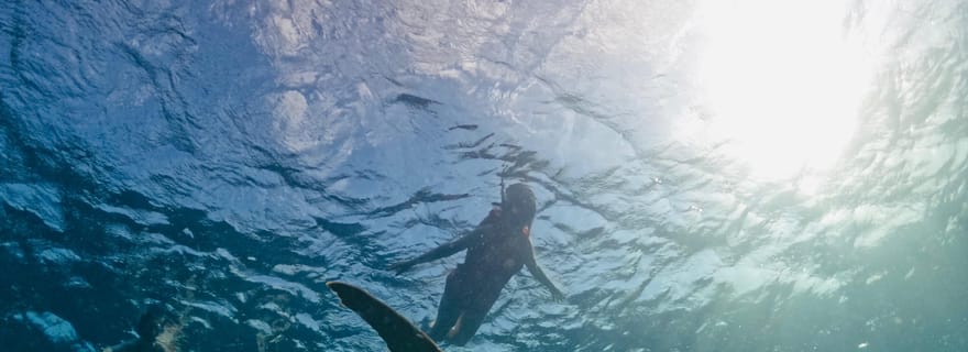 Gili Islands : Croisière commentée avec masque et tuba sur 3 îles