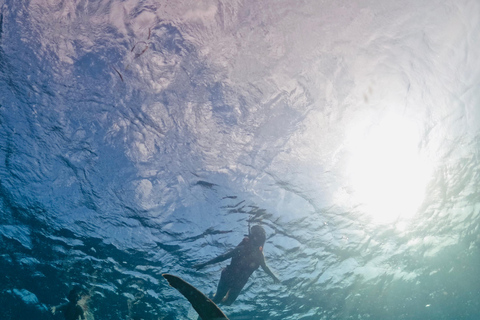 Ilhas Gili: Cruzeiro guiado de 3 ilhas com churrasco e mergulho com snorkelIlha Gili: Cruzeiro guiado de 3 ilhas com churrasco e mergulho com snorkel