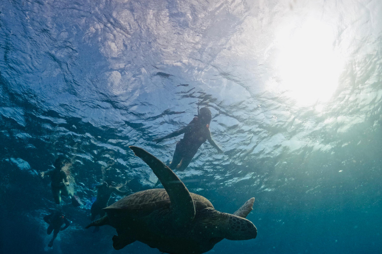 Ilhas Gili: Cruzeiro guiado de 3 ilhas com churrasco e mergulho com snorkelIlha Gili: Cruzeiro guiado de 3 ilhas com churrasco e mergulho com snorkel