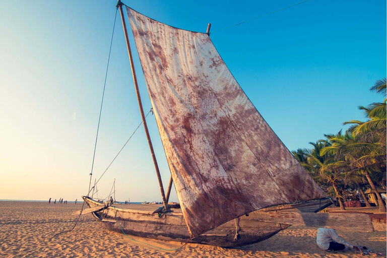 Negombo: City Tour saindo de ColomboPasseio pela cidade