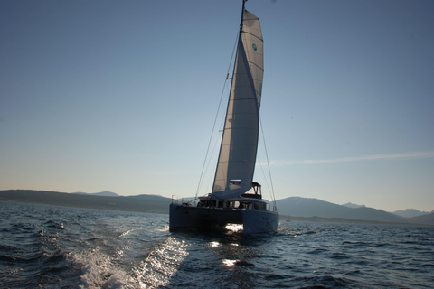 Tromsø: Midnight Sun Cruise in a Luxury Catamaran