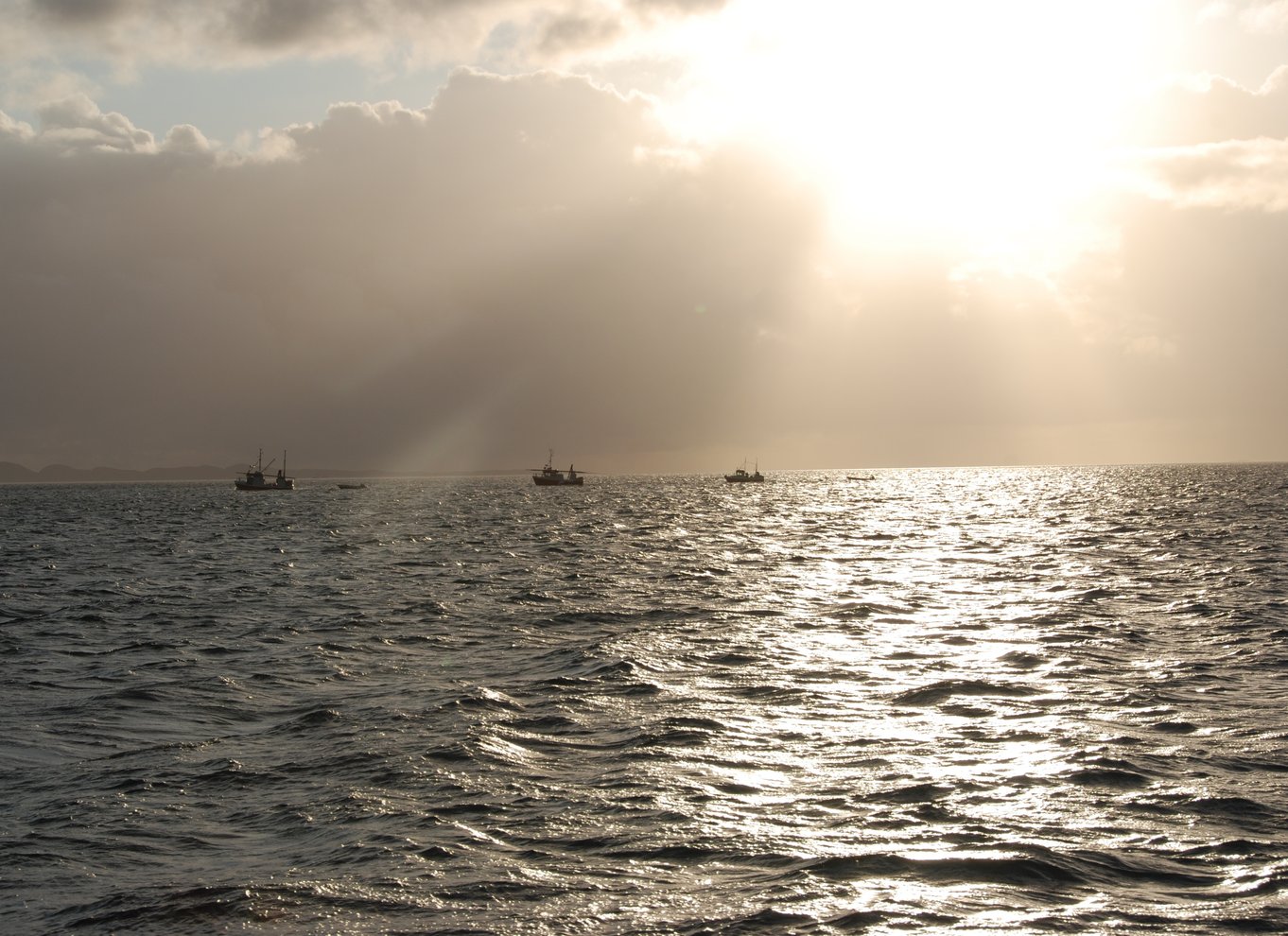 Tromsø: Sejltur under midnatssolen i en luksuskatamaran