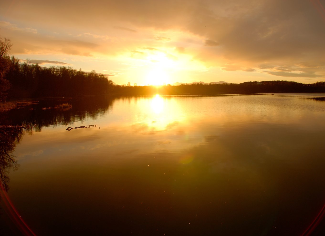 Tromsø: Sejltur under midnatssolen i en luksuskatamaran